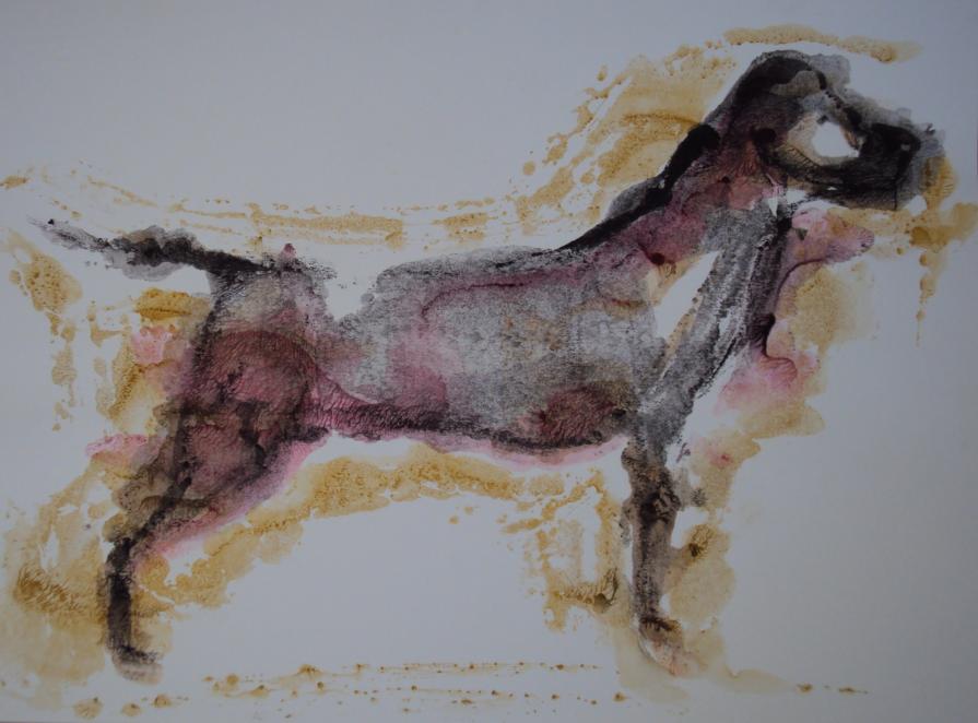 Canis Lupus Familiaris