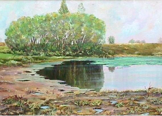 insenatura del fiume brenta