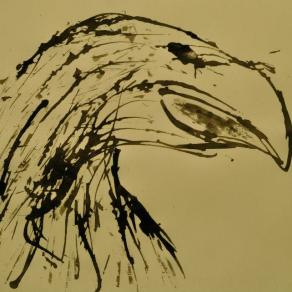 Aquila per caso ... - Eagle for case ... 