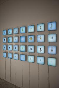 sam hopkins - Dead Insect in My Parents Pool 