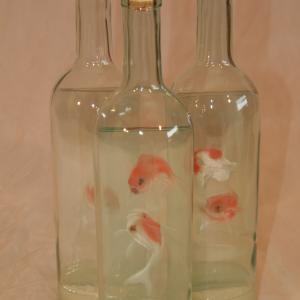 Pesci Rossi Pesci Rossi