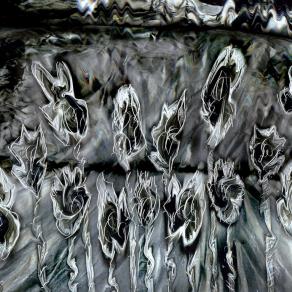 essere dispersi in un campo di fiori neri.