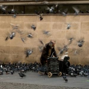 The Birdman 5 The Birdman 5