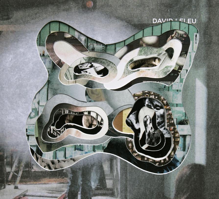 Iconotropy (David leleu's catalog)