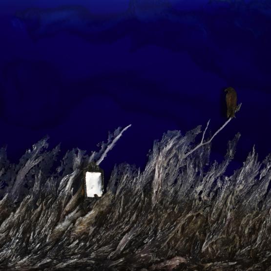 Self Reflection in the Domain of the Hawk