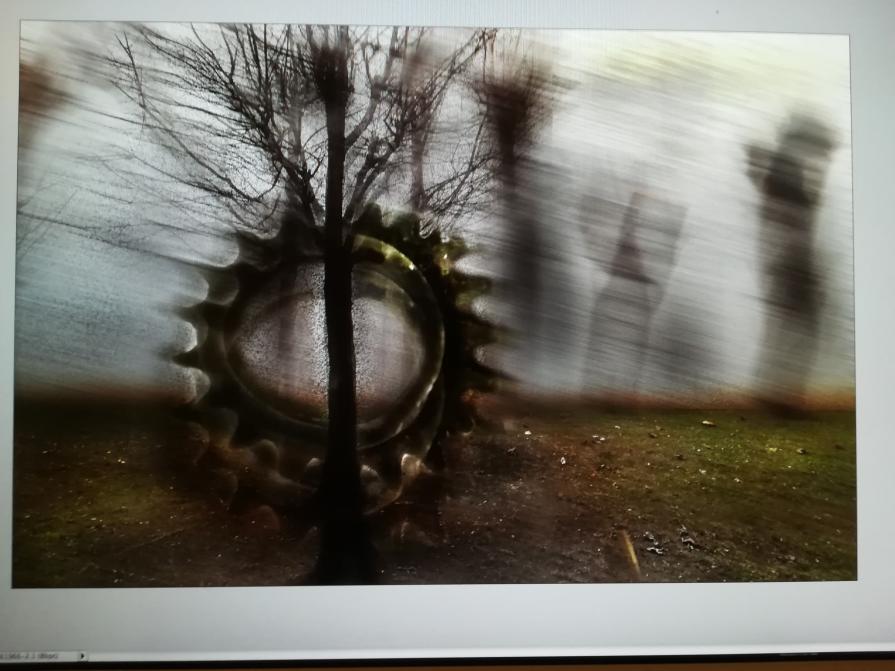 Il ciclo della natura sempre in movimento. 