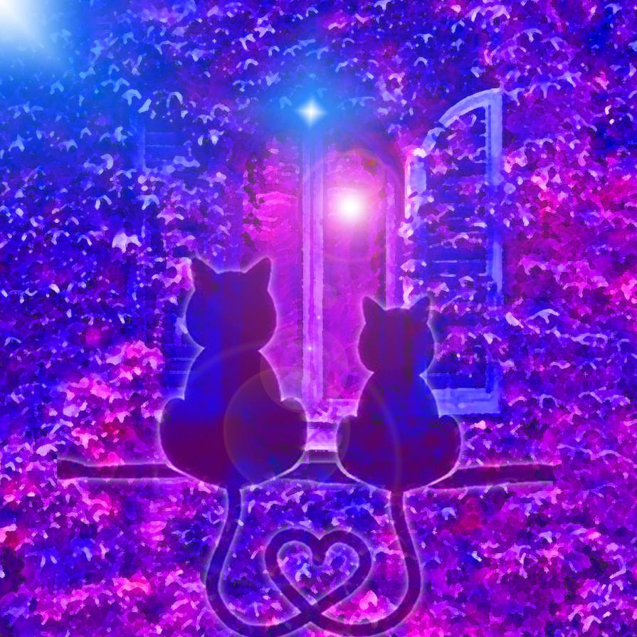 Ti amerò fino a quando le stelle non si spegneranno e i mari non ondeggeranno più...!!!