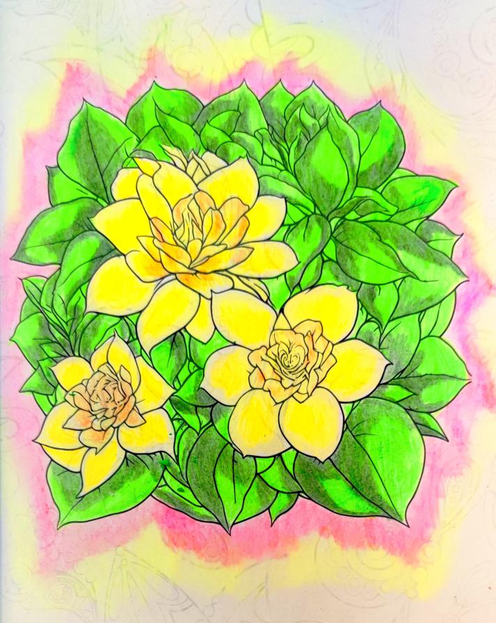 La vita, è un bouquet di emozioni…!!!