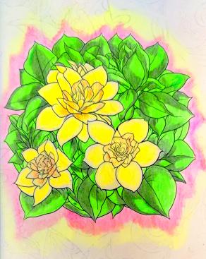 La vita, è un bouquet di emozioni…!!!