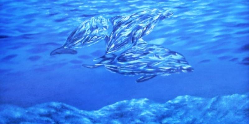 Personali di Pittura Contemporanea