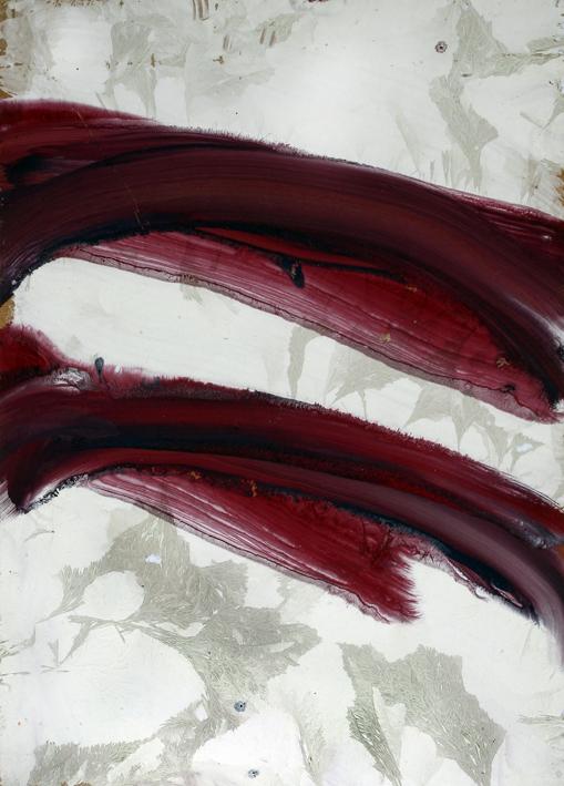 Nanni Menetti   "Criografie: il lavoro del gelo"