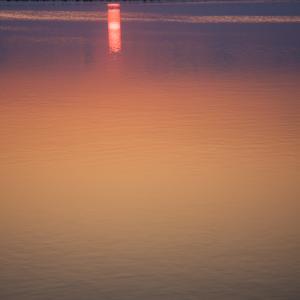 Alessandro Vicario / Contemplazioni Alessandro Vicario / Contemplazioni