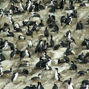 Argentina, Patagonia