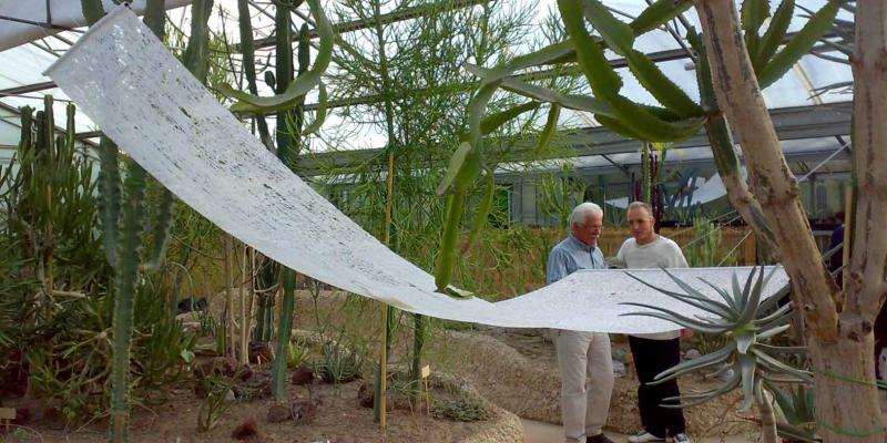 NATURA E ARTE NATURA E ARTE