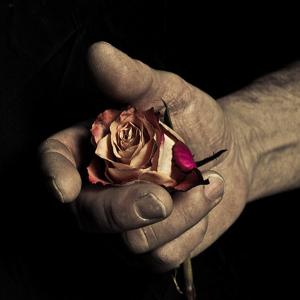 small & LARGE small & LARGE