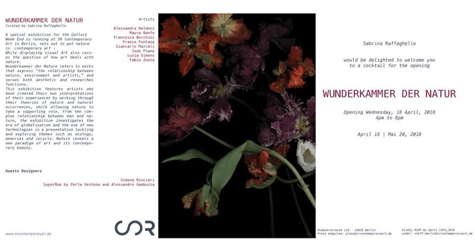 Wunderkammer der Natur | SR Contemporary Art Berlin Wunderkammer der Natur | SR Contemporary Art Berlin