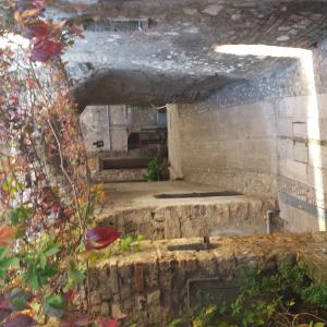 Painting competition "Cover 2014 - Valnerina Award - 3rd Edition" Painting competition "Cover 2014 - Valnerina Award - 3rd Edition"