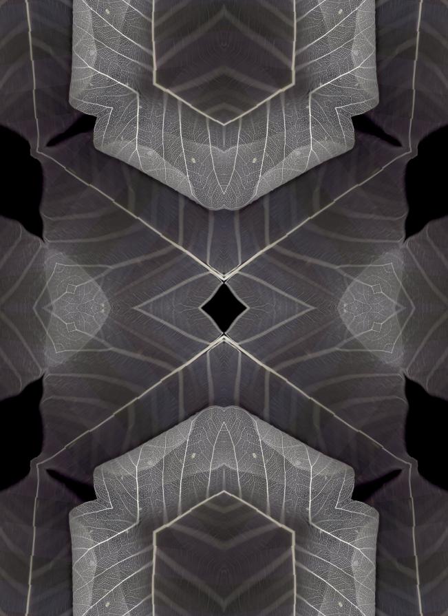 Lament XVII digital print 150x112 cm 2009