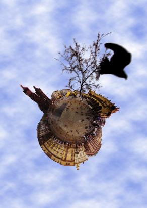 Transformed City: Krakow. Big Bird.