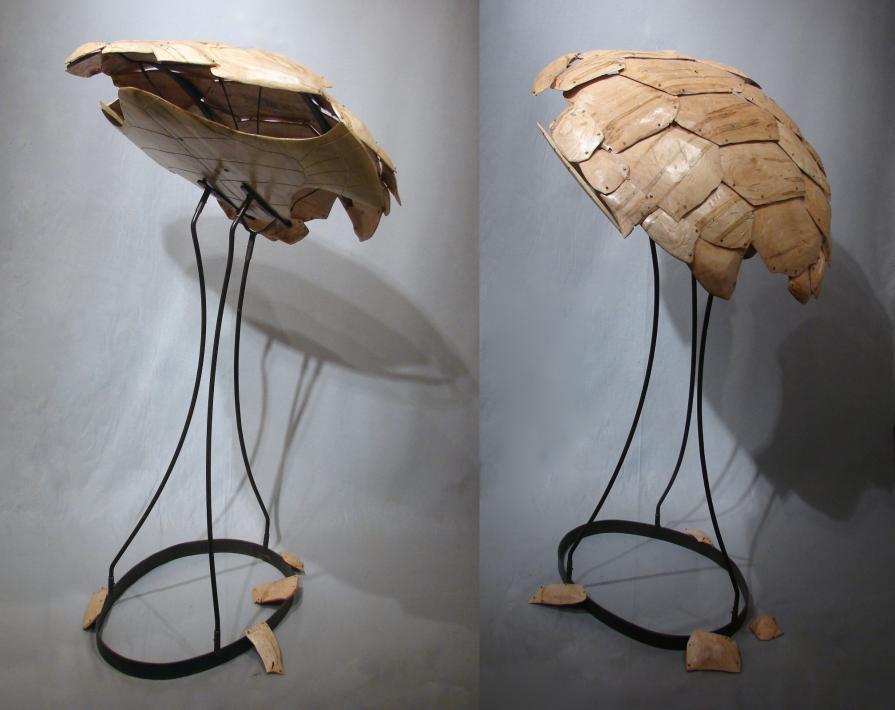 Fractured Hull Fractured Hull