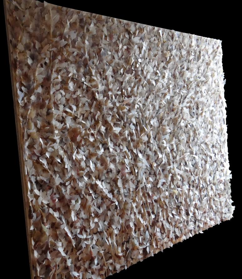 Rifugi tra i rami Rifugi tra i rami