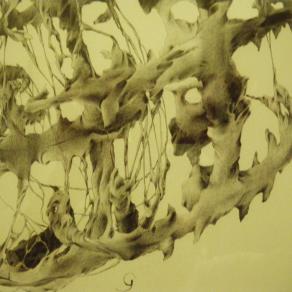 spirale - particolare