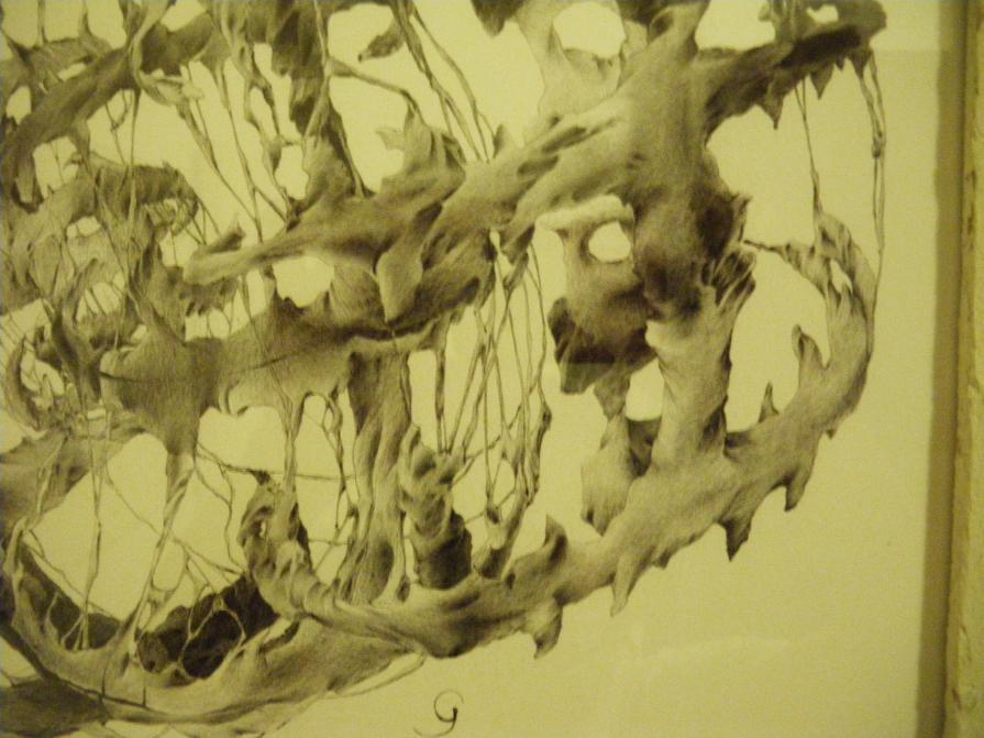 spirale - particolare