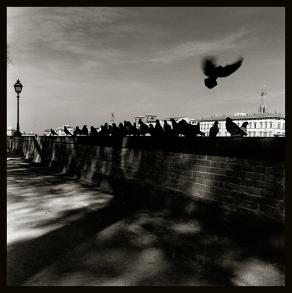 Italia 2 - fotografia di Augusto De Luca