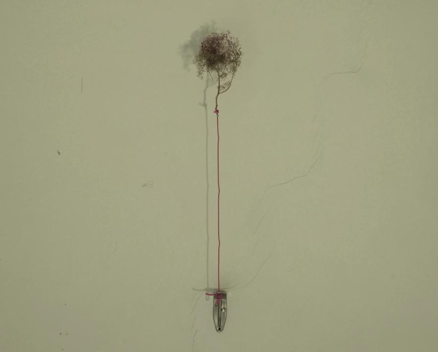 landscape#2 landscape#2