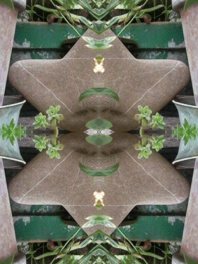 Riflessi di Verde e Pietre