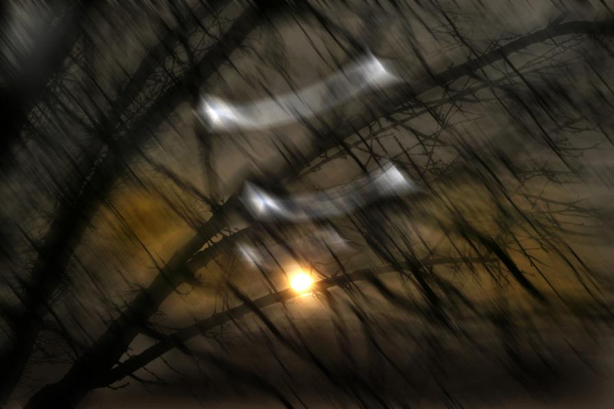 lasciamola andare liberiamola dal nostro amore.