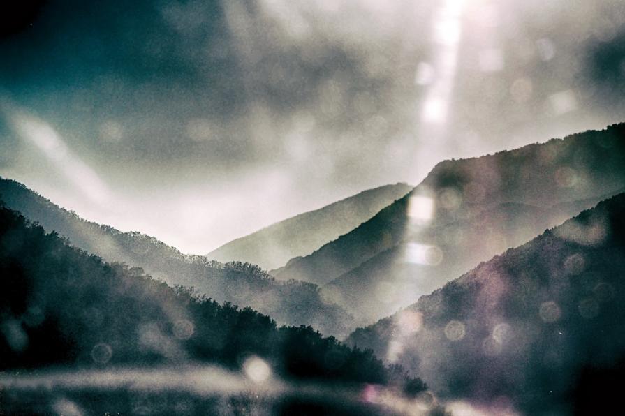 Verso l'oblio della pace 