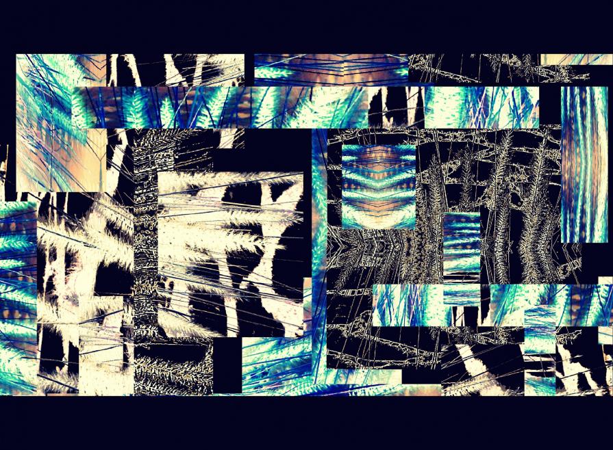 Black Spring CollagE