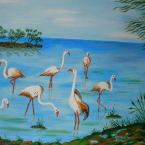 LG 0243 - Fenicotteri a Colostrai - Sardegna