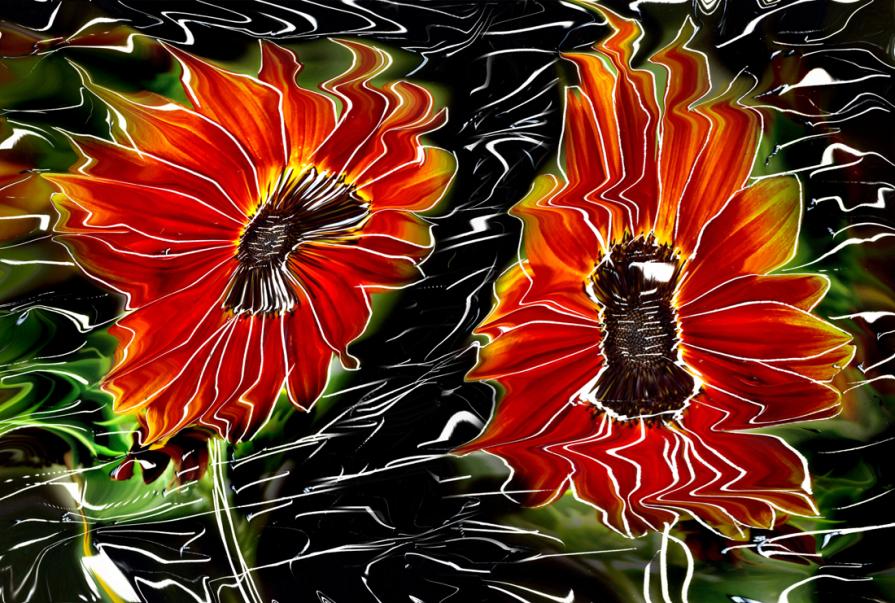 non giudicate la diversita...