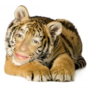 . . . E PIU' TI PENSO !!! . . . 