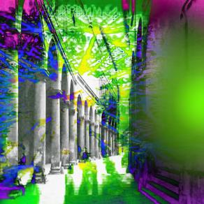 . . . Tra buio e luce !!!  . . . 