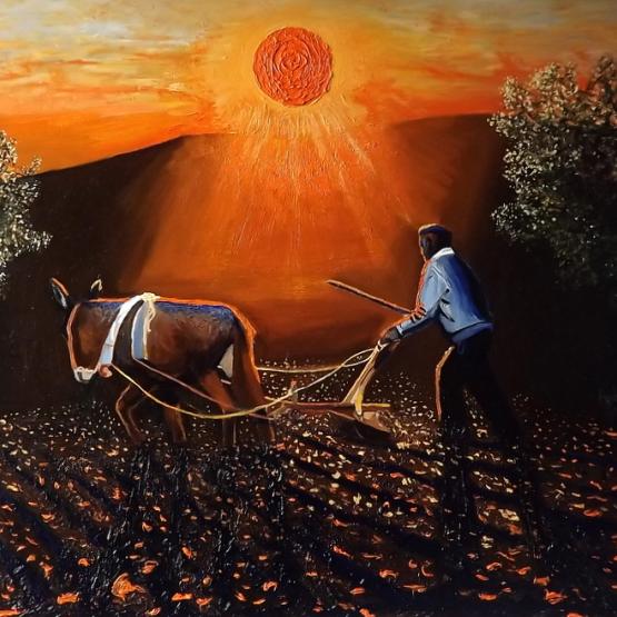Il tramonto dell'aratura con l'asino