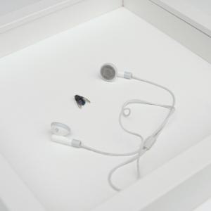 Titel: Auscultationem Musca (assemblage). overview2 Titel: Auscultationem Musca (assemblage). overview2