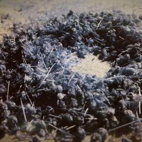 Cerchio dell'opposizione