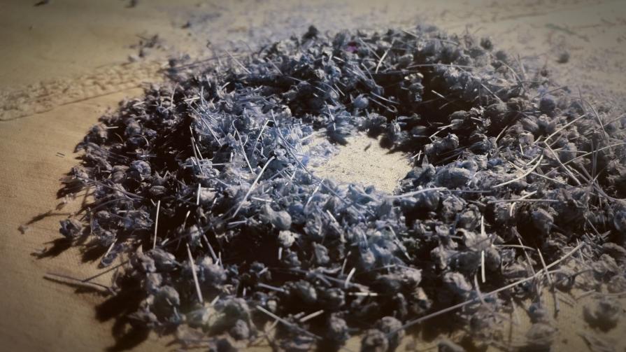 Cerchio dell'opposizione