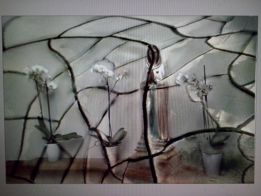 oggi in ospedale ho visto un essere umano entrare in un altra dimensione 