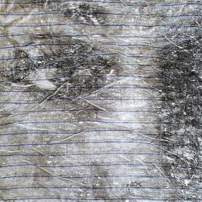 Woman in shirt (n.390)