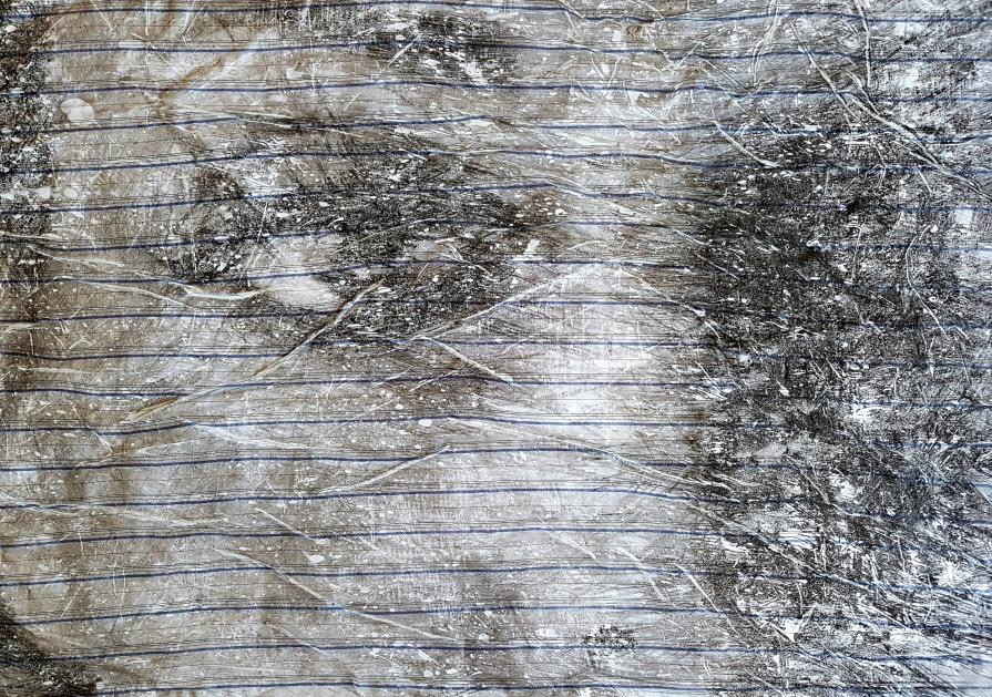 Woman in shirt (n.390)