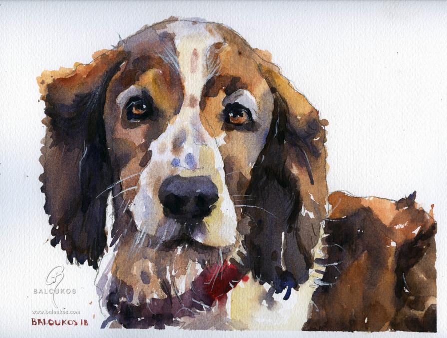 Dog portrait 5 from 100