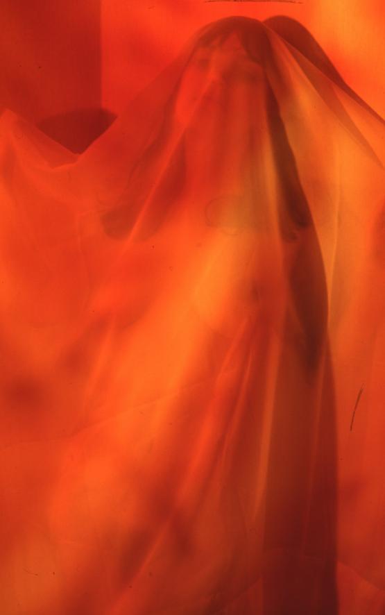 Traslucenza Traslucenza