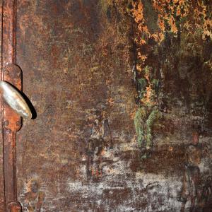 particolare particolare