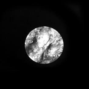 Letizia Ardillo- Permutazioni