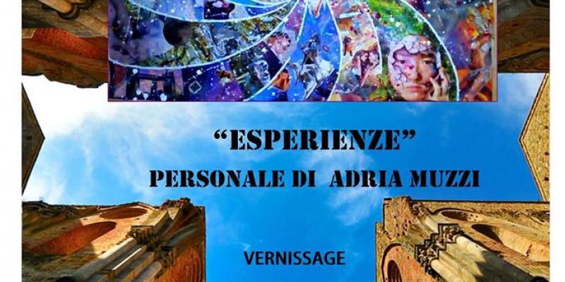 EXPERIENCES EXPERIENCES