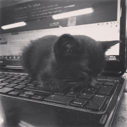 Theodora Michelopoulou